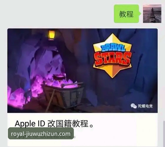 九五至尊iOS版安装与使用全攻略:从下载到畅玩操作教程